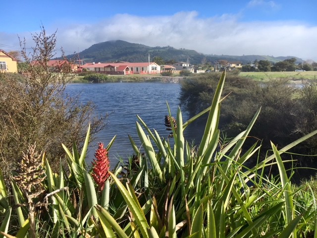 Vista cidade Rotorua