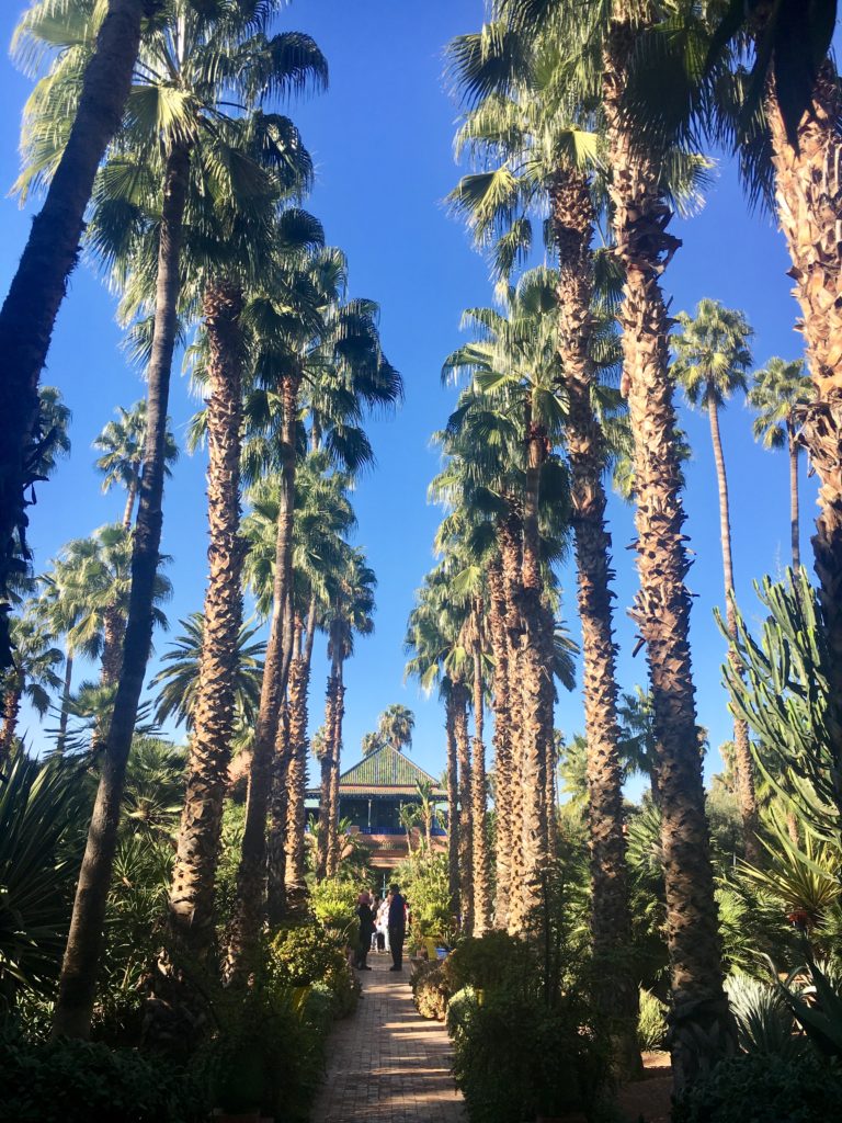 Alameda de palmeiras imperiais no Jardim Majorelle