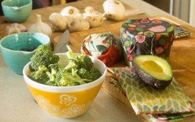 Cera de abelhas no combate ao uso do plástico