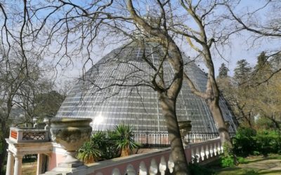 Passeio gratuito em Lisboa: A secreta Tapada das Necessidades