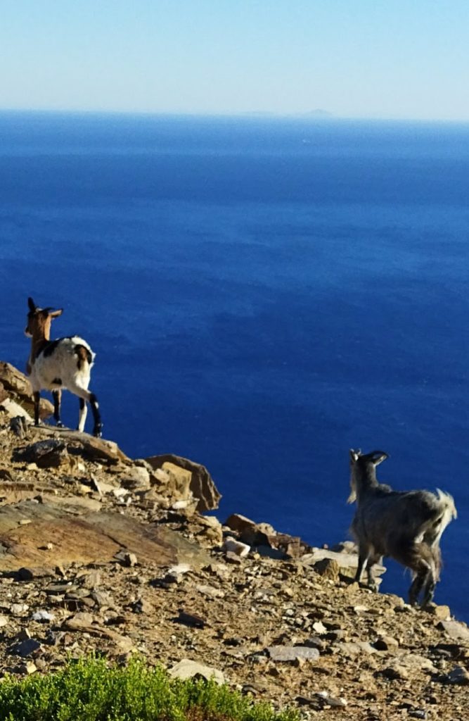 IKARIA - a Blue Zone onde a vida é leve e longa