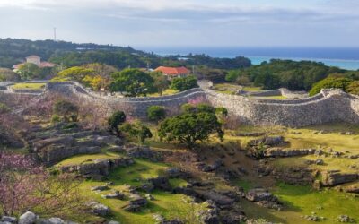 LIÇÕES DA BLUE ZONE OKINAWA: O TRABALHO DE CHRISTAL BURNETTE